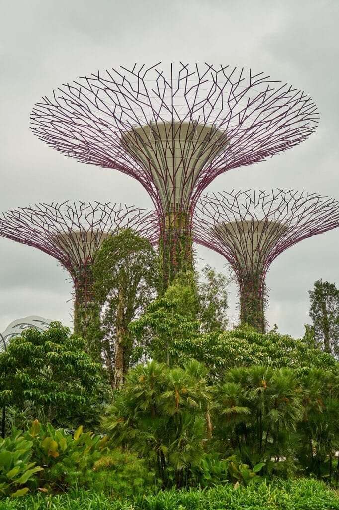 herb, singapore, park, curiosidades
