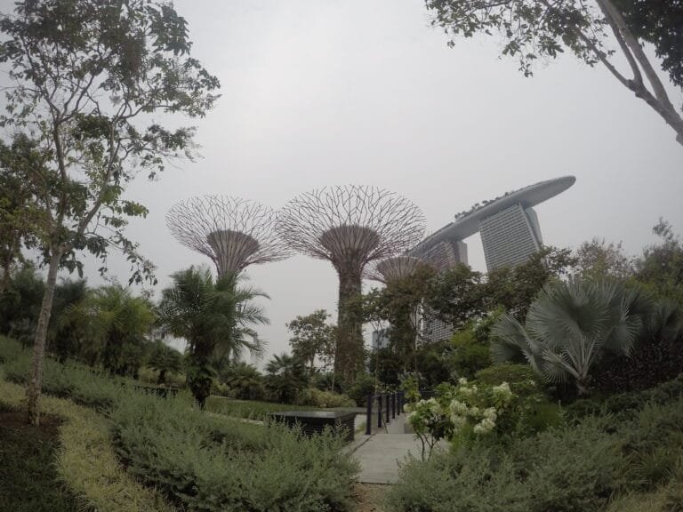 Lee más sobre el artículo Top 3 lugares imprescindibles que ver en Singapur (2025)