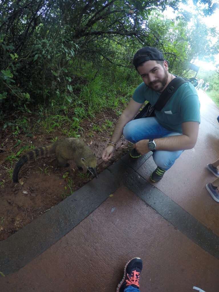 Fauna en las cataratas de Iguazu