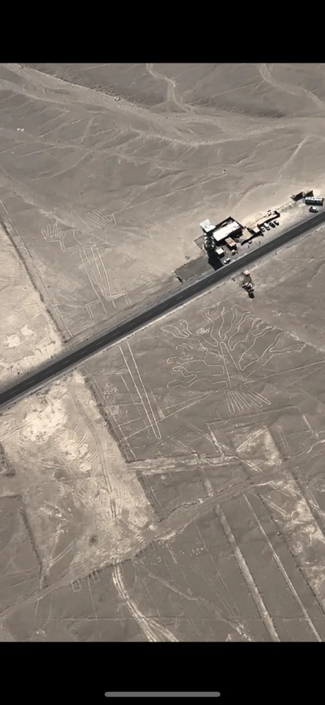líneas de nasca