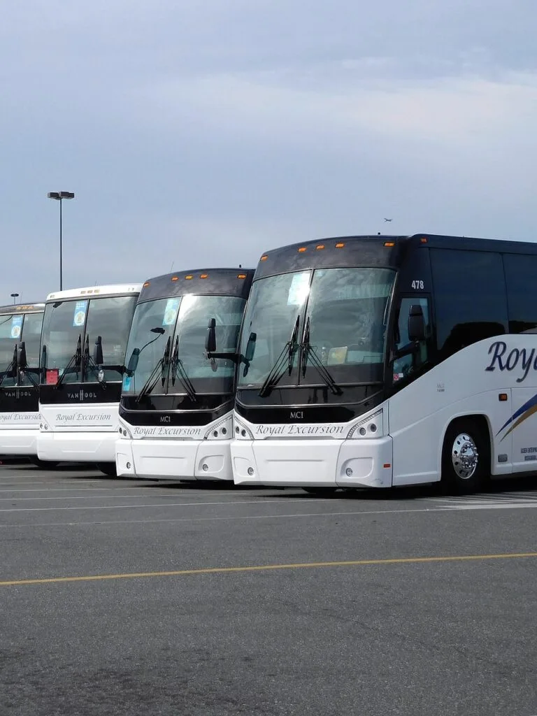 buses, travel, transportation, vehicle, buses, buses, buses, buses, buses, santiago