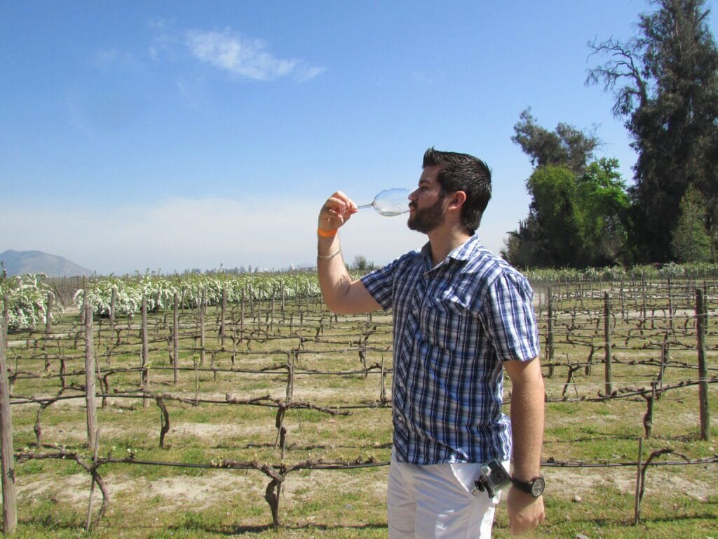 Viña Concha y Toro
