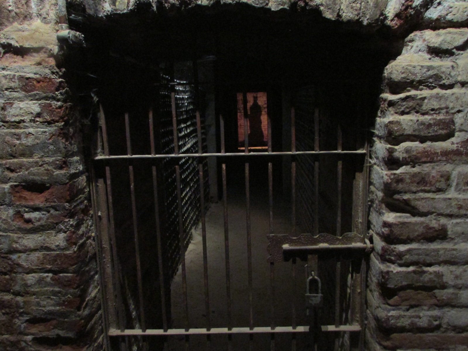 En este momento estás viendo Viñas cerca de Santiago: tour o por libre