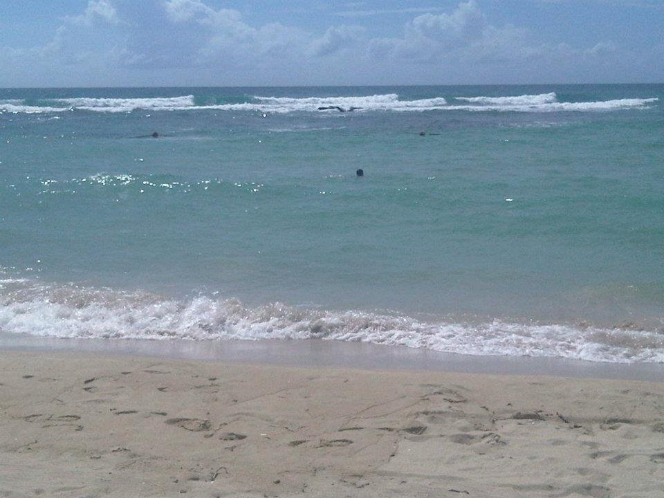 PLaya de Bavaro, Punta Cana, Republica Dominicana 