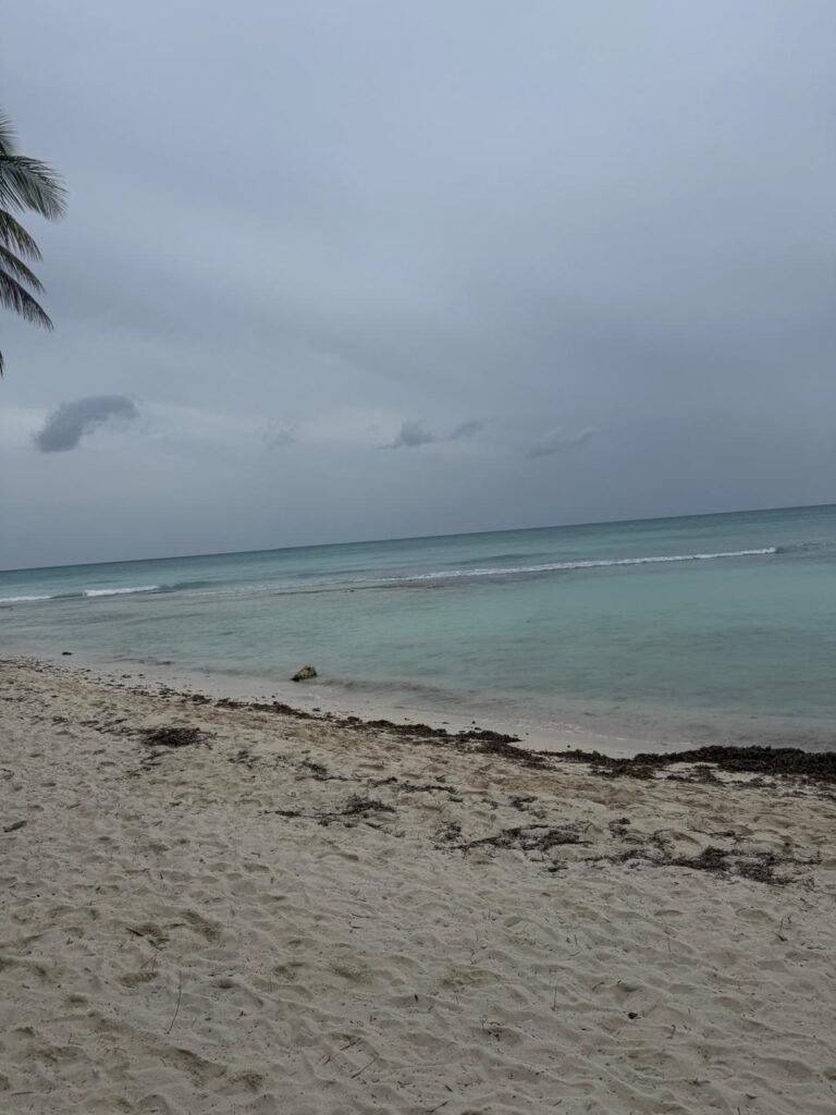 Isla Saona, Republica Dominicana 