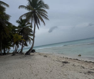 Lee más sobre el artículo Cuánto cuesta ir a Punta Cana: presupuesto real