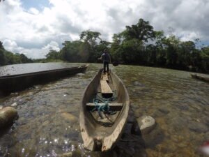Lee más sobre el artículo Cómo Visitar la Selva de Puyo, Ecuador: Guía Completa